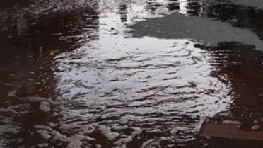 همدستی آشکار و پنهان کرزی با طالبان بر اساس منافع قومی قبیله ای