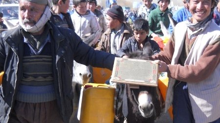 اقدام سمبولیک دیگر از باشندگان بامیان: مدال را به این الاغ می دهیم که بیشتر خدمت می کند