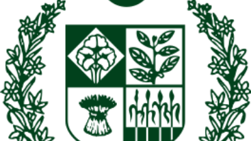 فعال بلوچ: جنایت جنگی طالبان در زرنج برای فشار بیشتر بر نیروهای استقلال طلب بلوچ است!