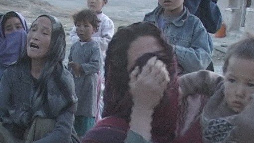  بهار، فصل جنایت کوچی در بهسود؛ امتیازدهی حکومت به کوچیان دلیل تداوم معضل!