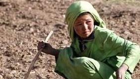 کودک و کار در مزرعه