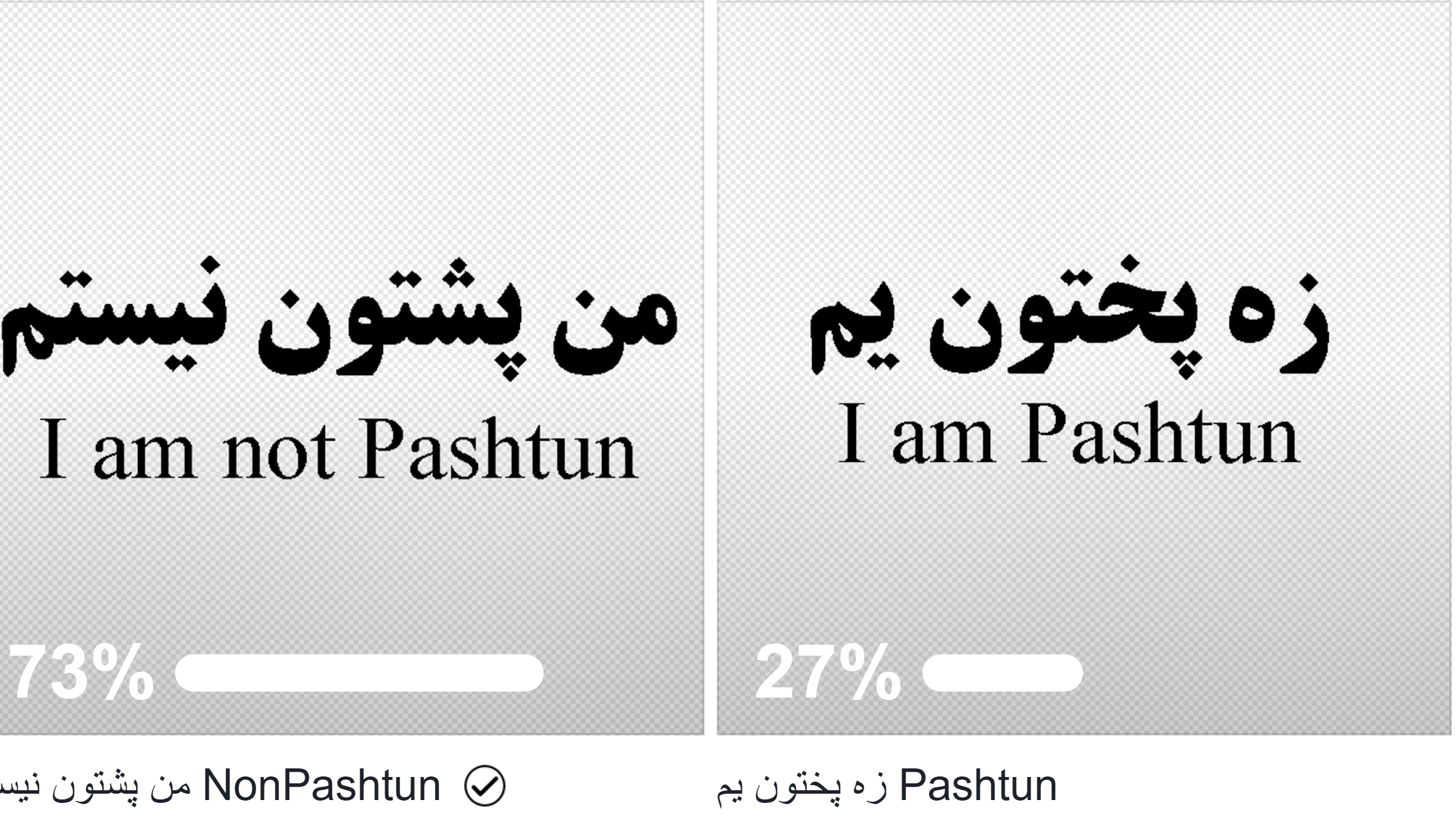 Are Pashtuns really the majority in so-called country Afghanistan?