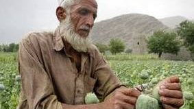 چالش جهانی مواد مخدر و چند پیشنهاد