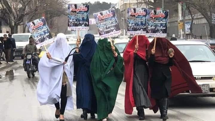 پنج ماده طالب بوجی به سر؛ توهین به شعور زنان 