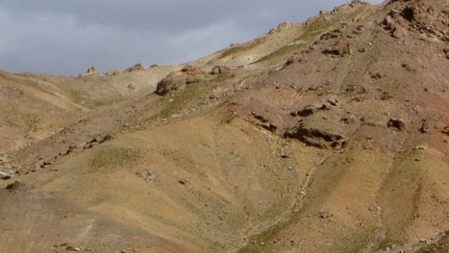 دفاع از شجاعی وظیفه ی هر انسان آزاد اندیش است