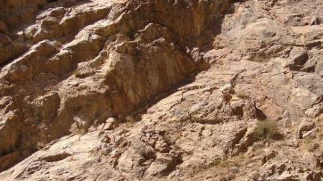 ناگفته هایی از نيکپی