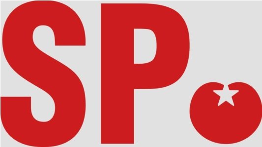 سخنگوی حزب سوسیالیست هلند در تماس با کابل پرس: داود پیرزاد نماینده حزب ما نیست!