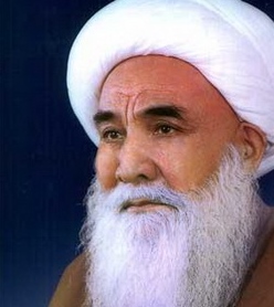 آیت الله محقق کابلی بزرگترین مرجع شیعیان افغانستان کارد زدن در محرم را حرام اعلام کرد