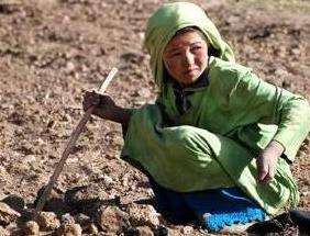 کودک و کار در مزرعه