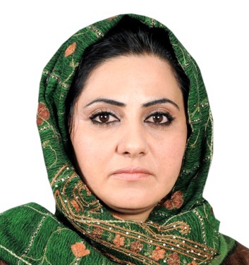 بارکزی خودکشی می کند یا کرزی
