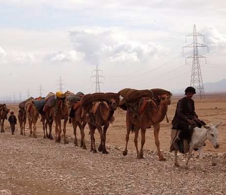 کوچی ها در حال سفر در ولايت بلخ