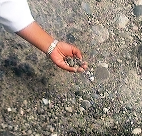 دیداری از دیار دور افتاده