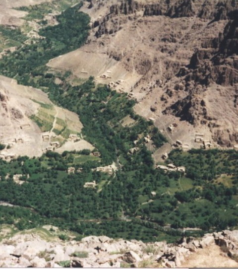 طالبان 17 جوان دایکندی را سر بریدند