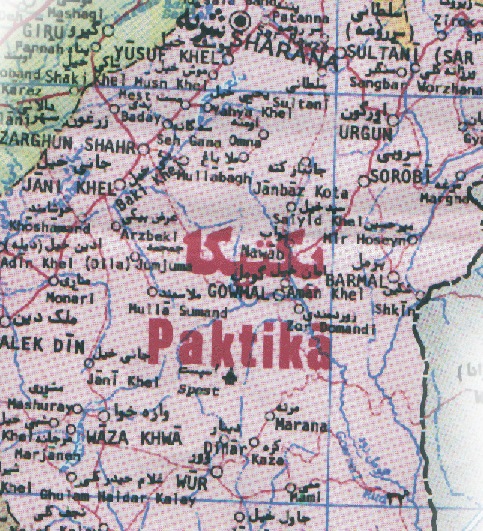 یک خبرنگار در پکتیکا سر بریده شد!