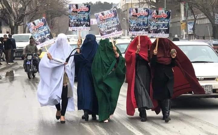 پنج ماده طالب بوجی به سر؛ توهین به شعور زنان 